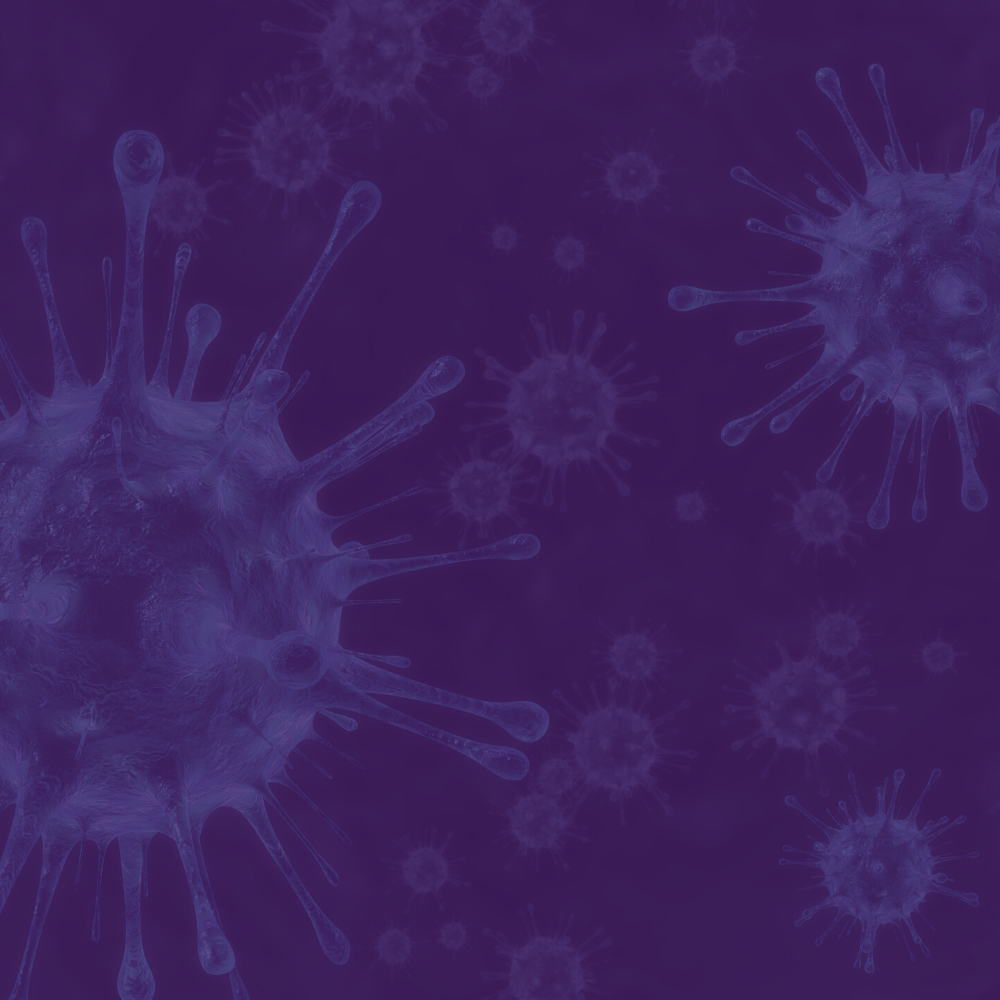DWC News Update: The CARES Act: Federal Coronavirus Relief